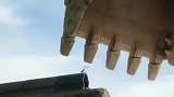房屋拆迁作业中野生螳螂现场指挥