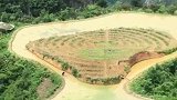 山顶田园上辛勤耕作的农夫