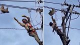 哥伦比亚电力工人解爬上电线杆救被困的树懒