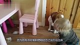 萌娃踩着狗子就要翻出围栏，之后狗子的反应，太逗了