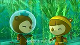 海底小纵队：小纵队从来没见过谢灵通吃海藻