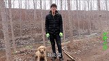 金毛半年没洗澡身上好臭，小伙就建了个温泉池让它泡温泉，真漂亮