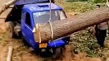 农民的三轮车轻松抬大树！
