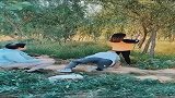 这配音厉害了，让老爹扮演狗狗，一旁大妈乐呵呵！
