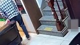 猫咪：以其人之道还治其人之身