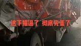 这怎么办愁死人了