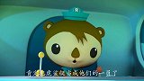 海底小纵队：海豚们大搬家，结果遇到了垃圾洋流，他们被袭击了