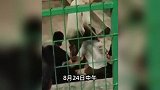 17岁高中生勇救六旬婆婆不幸溺亡，同学：婆婆上岸后离去
