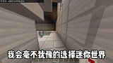 我的世界：你会怎么选择