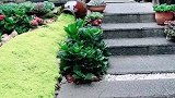 不管四季如何转变，我们院子的风景依然很美。