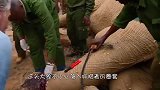 侥幸逃脱的大象受伤很严重，再不救助大象就会有生命危险！