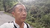南将石村，看看村里大哥麻核桃树，一颗树一年也是收入过万元