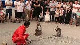 猴子急了。