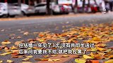 男子网聊7天花11万闪婚不到一年被拉黑，女方：他说我诈骗，现在没钱能退5000元