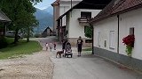 斯洛文尼亚乡村生活场景