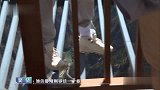 窦骁公主抱何超莲走栈道，这两人又让人相信爱情了