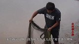 黄河落水，小胖打到纯正黄河鲤鱼，像美女一样漂亮，能卖千八百