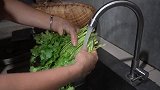 香菜百吃不厌的做法，桃子姐一次凉拌一斤，麻辣爽口又下饭