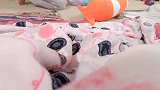 一早起来，爸爸挨个帮五胞胎换衣服尿布，带5个娃真的太不容易了
