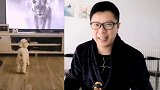 搞笑配音：女友好不容易请到家，却被家禽赶出门