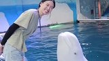 美女一个动作白鲸心领神会，接下来一幕，小姐姐忍不住开心地笑了