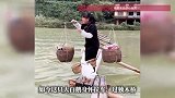 贵州大白鹅跟着主人卖菜火了，会过马路还会守摊收款！网友直呼“太有灵性”