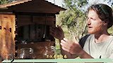 世界上最贵的蜂蜜，一斤34万！