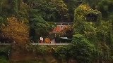 芙蓉国里尽朝晖