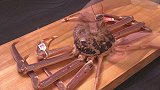 日本大厨处理顶级雪蟹，刀工恐怖削壳如削纸，看完口水止不住了