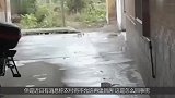 2019年农村将“禁止”建房连翻新也不允许，老农无奈痛哭