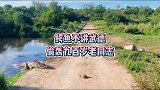 鳄鱼嗑瓜子，鳄乌大战