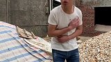 奶奶真会节约