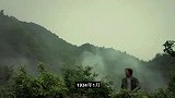 听到冯雪峰说鲁迅如此评价毛主席的诗词后，毛主席笑得前仰后合