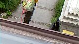 希望狗没事！