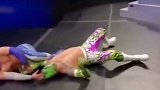 wwe 高飞者高能失误合集 摔跤 有风险 入局需谨慎 搞笑 大型翻车现场