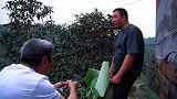 包立春为面子嘱咐老爸，桃子姐做一盘荷叶鸡，鲜嫩香糯，真美味