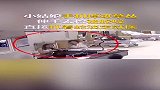 网友：姑娘，能不能给蛇一点面子！