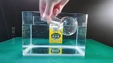 透过浸在水中的空烧瓶观察，神奇的现象出现了，什么物理原理
