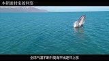 中国天眼发现“新地球”，环境温度都适宜，为何专家警告不能去？
