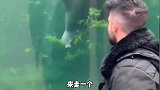 动物模仿能力太强了,一个比一个秀