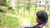 翻车了怎么办？先发个朋友圈再说