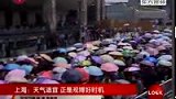 上海天气适宜 正是观博好时机-5月12日