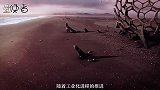 若人类移民地外星球，哪种生物将成为地球霸主？科学家提到了它们