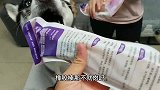 狗狗美食大测评,当主人打开箱子那一刻,狗狗竟然狂咽口水好可爱