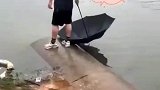 守株待鱼愿者上钩