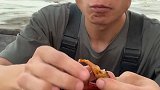 船长吃蛏王有讲究，如何处理沙
