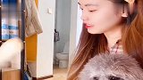 女主人让拉布拉多给小泰迪拿吃的,拉布拉多：除非我有病！太逗了