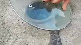 看呆楼下老太太的防水黑科技
