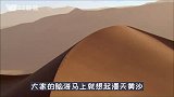 干掉千年沙漠，种出8个韩国，中国人种树到底有多牛