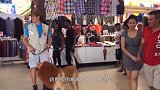 市区突然出现一只狮子，吓得人们四处跑开，真相原来是只狗